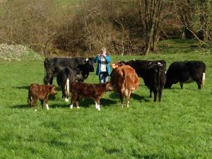 The herd on turnout April 2019, with Maggy – definitely not camera shy! From right clockwise: Wharncliffe Gudrun, Wharncliffe Jenna, Emgee Non, Wharncliffe Jaci, Emgee Percival, Emgee Pickle, Balearn Olwyn and Balearn Helen